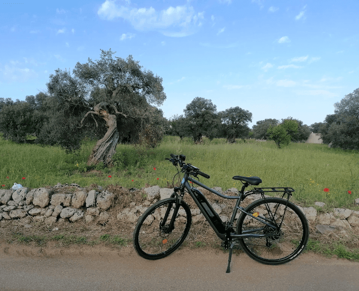 Tour delle Contrade 1